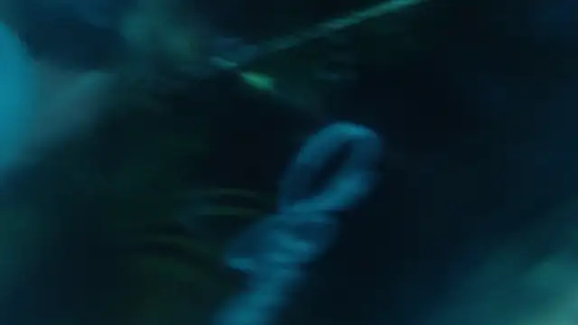 عرض كام Andreasabrinafox