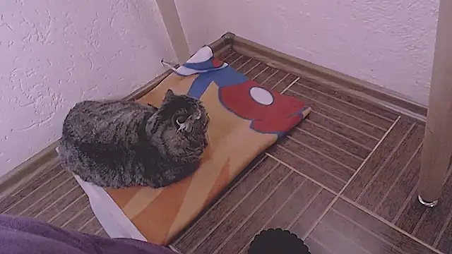 SoftLia's Live XXX Chat