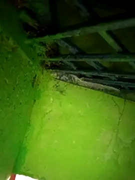 Riyakumari_hot66 Adlı Modelin Web Kamerası Şovu