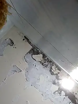 Xxxhalcon – Live XXX-chat