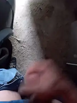 Show Webcam de mecaloco