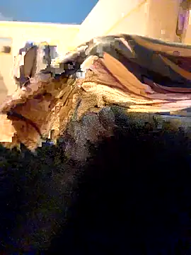 Zip_arabi: απευθείας συνομιλία ΧΧΧ