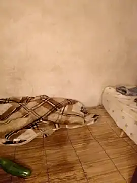 Pertunjukan Kamera Web samagira