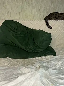 Ariana_Sanderss live XXX chat