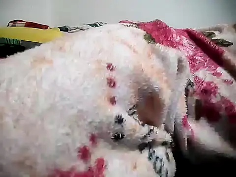 WINWIN68 Live XXX-chat