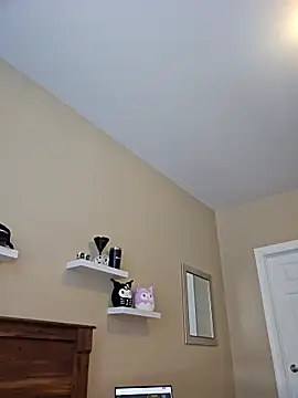 AmethystFoxx élő XXX-chatje