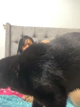 Chatroom XXX en direct de Kataliina