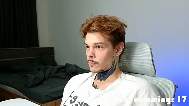 Show webcam de DENIS_HERE