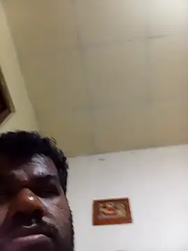 Hiptonos Live XXX-Chat