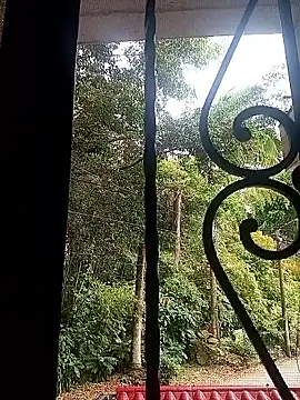 SabrinaVantress Live XXX-Chat