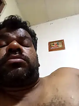 Hiptonos Live XXX Chat