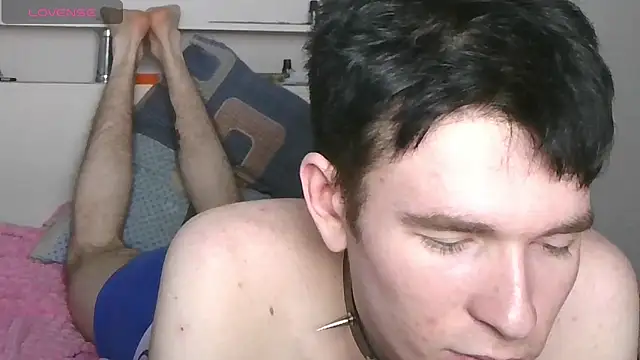 Ernest_icen Webbikameraesitys