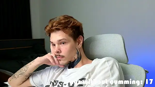 DENIS_HERE Show in webcam