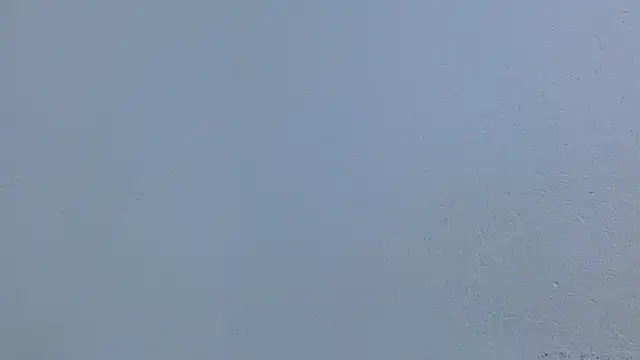 isabel_24_gil 라이브 XXX 채팅