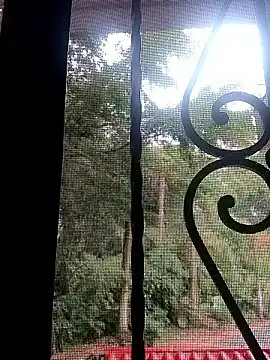 SabrinaVantress' Live XXX Chat