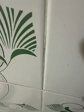 Webkamerová show dickmaster8782