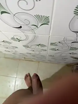 Show webcam de dickmaster8782