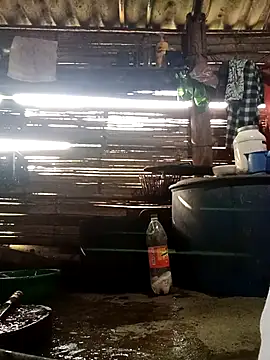 Tina6886 Webcam Show