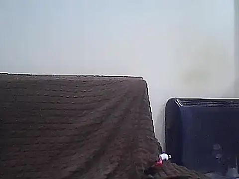 WildScorpio86 Adlı Modelin Canlı XXX Sohbeti