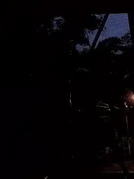 SabrinaVantress Live XXX-Chat