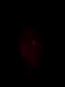 Nidge251のウェブカメラショー