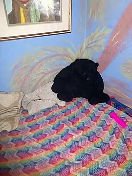 SeductressGem 现场XXX聊天