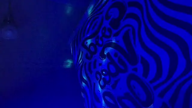 Show webcam de slankecrosdresser