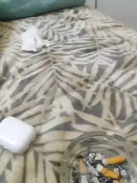 zbardi27 Pertunjukan Webcam