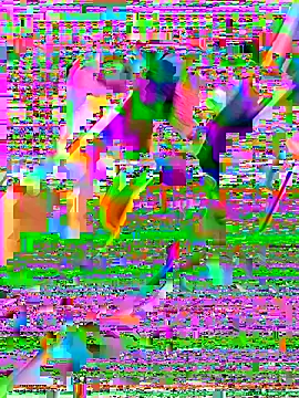 7waykomm webcam show