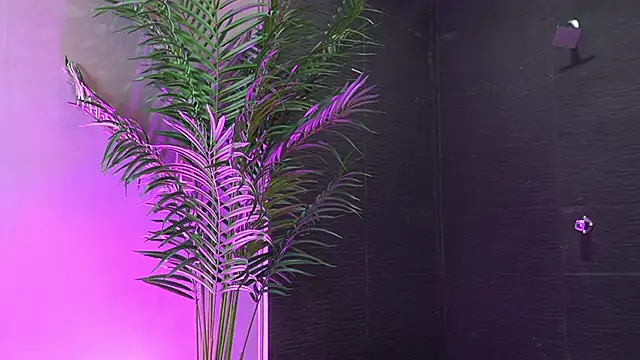 Czat XXX na żywo – Tayler_Kim