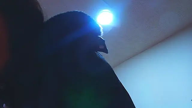 sayumi_dirty Live XXX-Chat