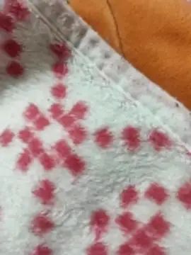 eagle2eagle2eagle Adlı Modelin Web Kamerası Şovu