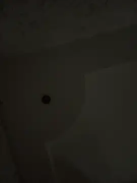 Ponthip Pertunjukan Webcam