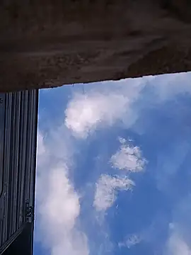 Biknight Webcam-Show