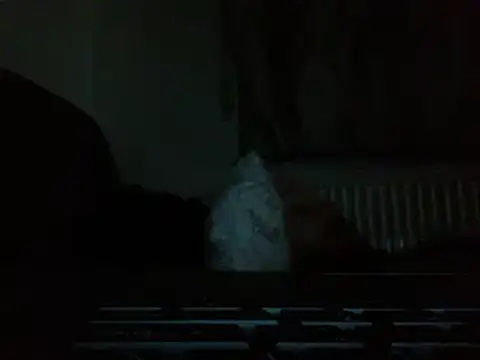 Show Webcam de FROL83