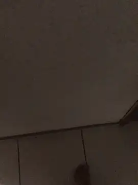 hxtobson Webcam show