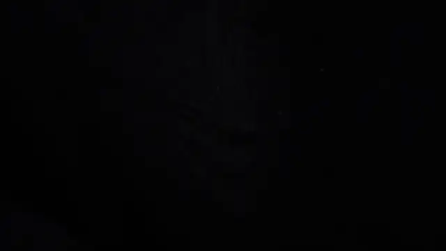 Sachi_Meow Live XXX-chat