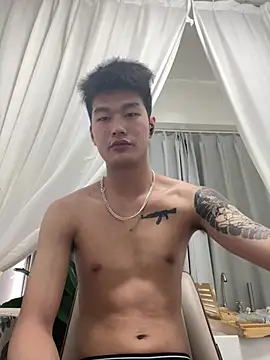 nanda108520n Webbikameraesitys