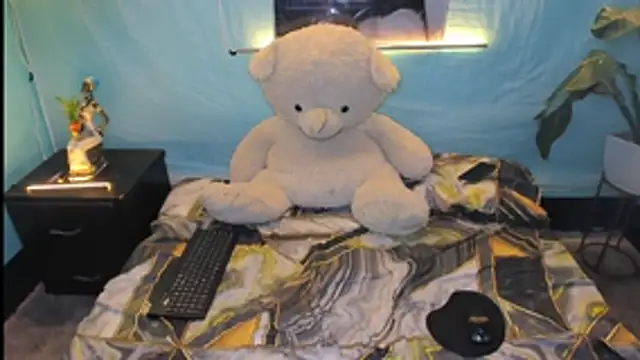 darwinandbrayann 网络视讯表演