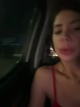 zelyramonviellyn Webbikameraesitys