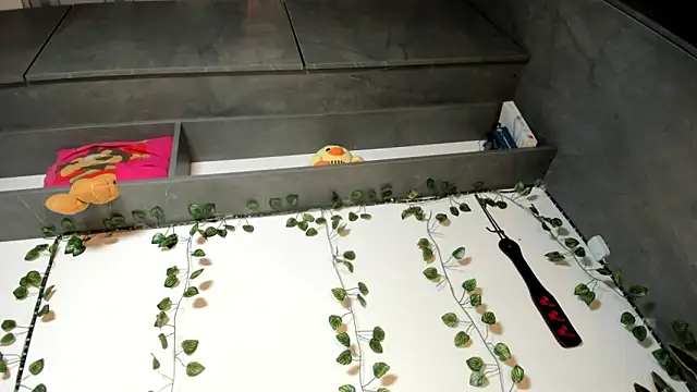 Chat XXX en directo de vickylatina_