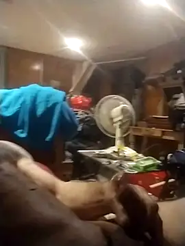 โชว์เว็บแคมของ AceticPinscher