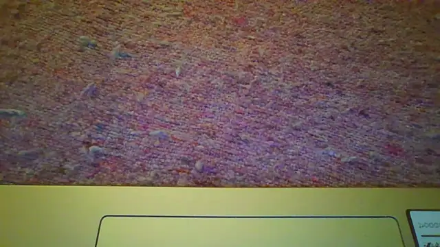 brisadelanoche's Live XXX Chat