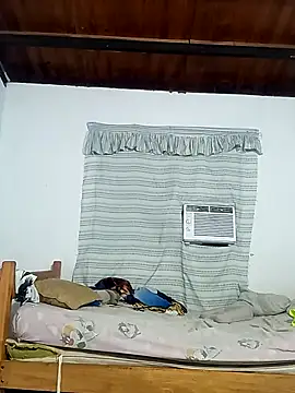 Show webcam de prometeo1