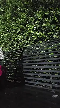 Pinkie_Princes webcam show