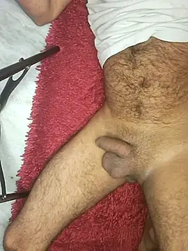 Show de IndoAlpha na webcam