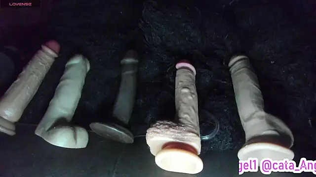 Cata-angel 现场XXX聊天