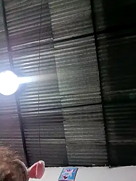 xandra252 Live XXX-chat