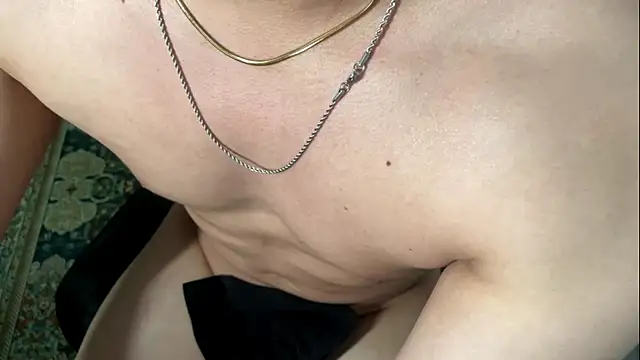 Show modela Tony_Hoffa na web-kameri