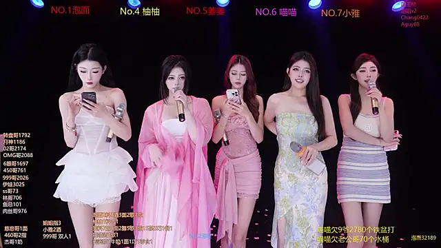 RV-525- Show in webcam